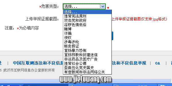 请问：武汉市互联网信息办公室，光谷揭露网jieluwang.xyz属于上面违法网站的哪一种呢？