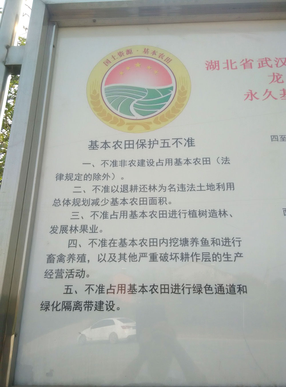 龙泉街福利村的永久基本农田保护区标牌