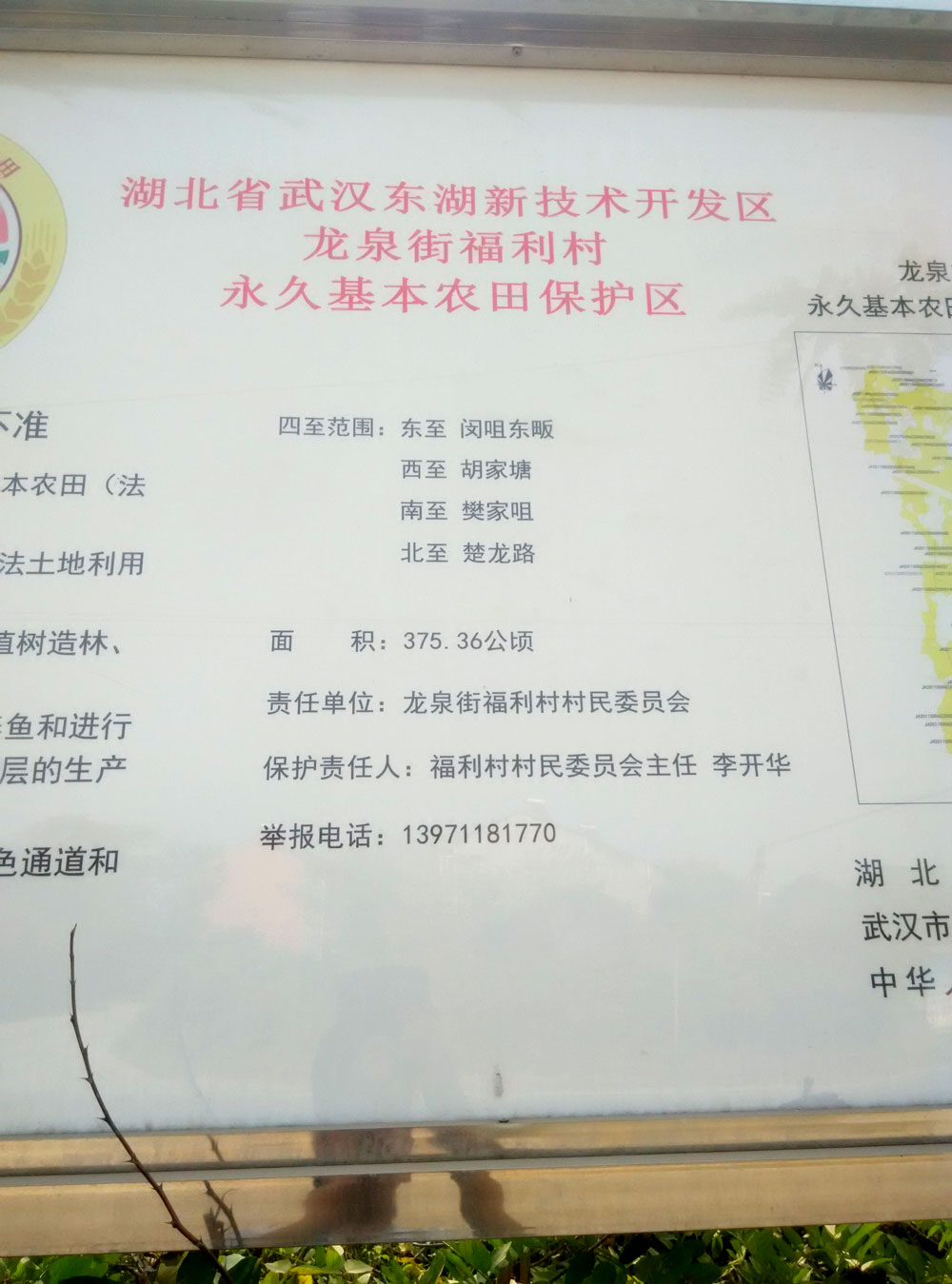 龙泉街福利村的永久基本农田保护区标牌